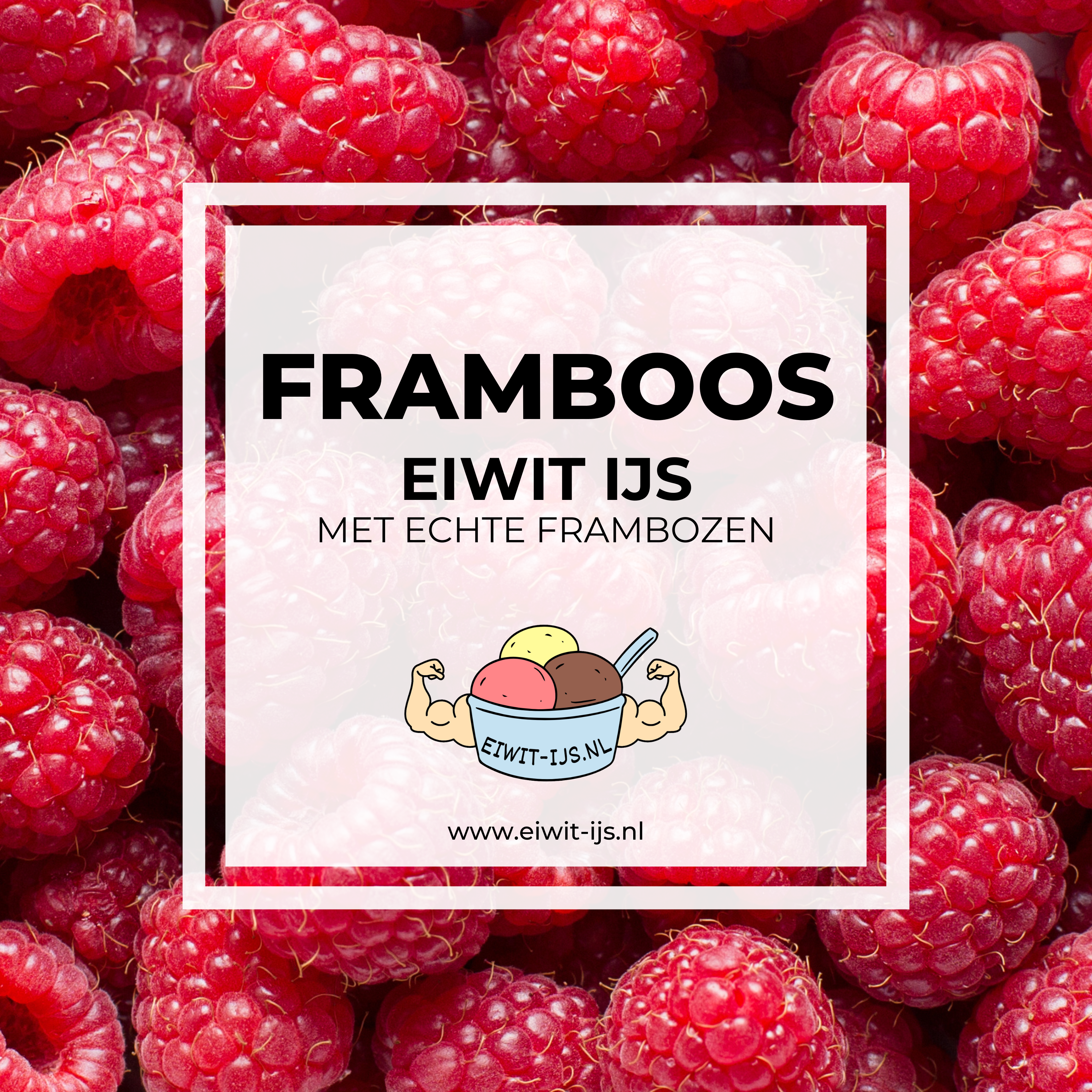 Framboos eiwit-ijs