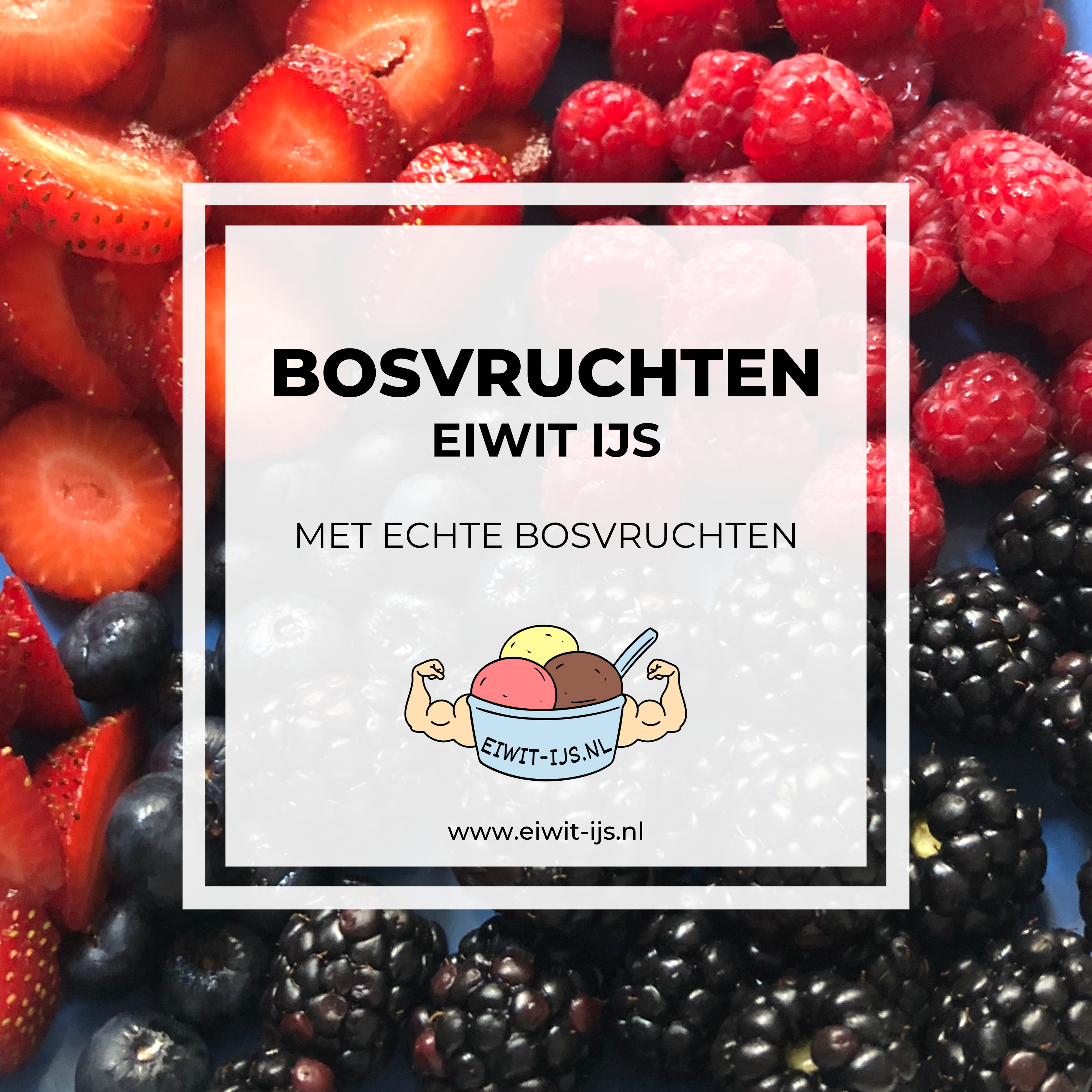 Bosvruchten eiwit-ijs