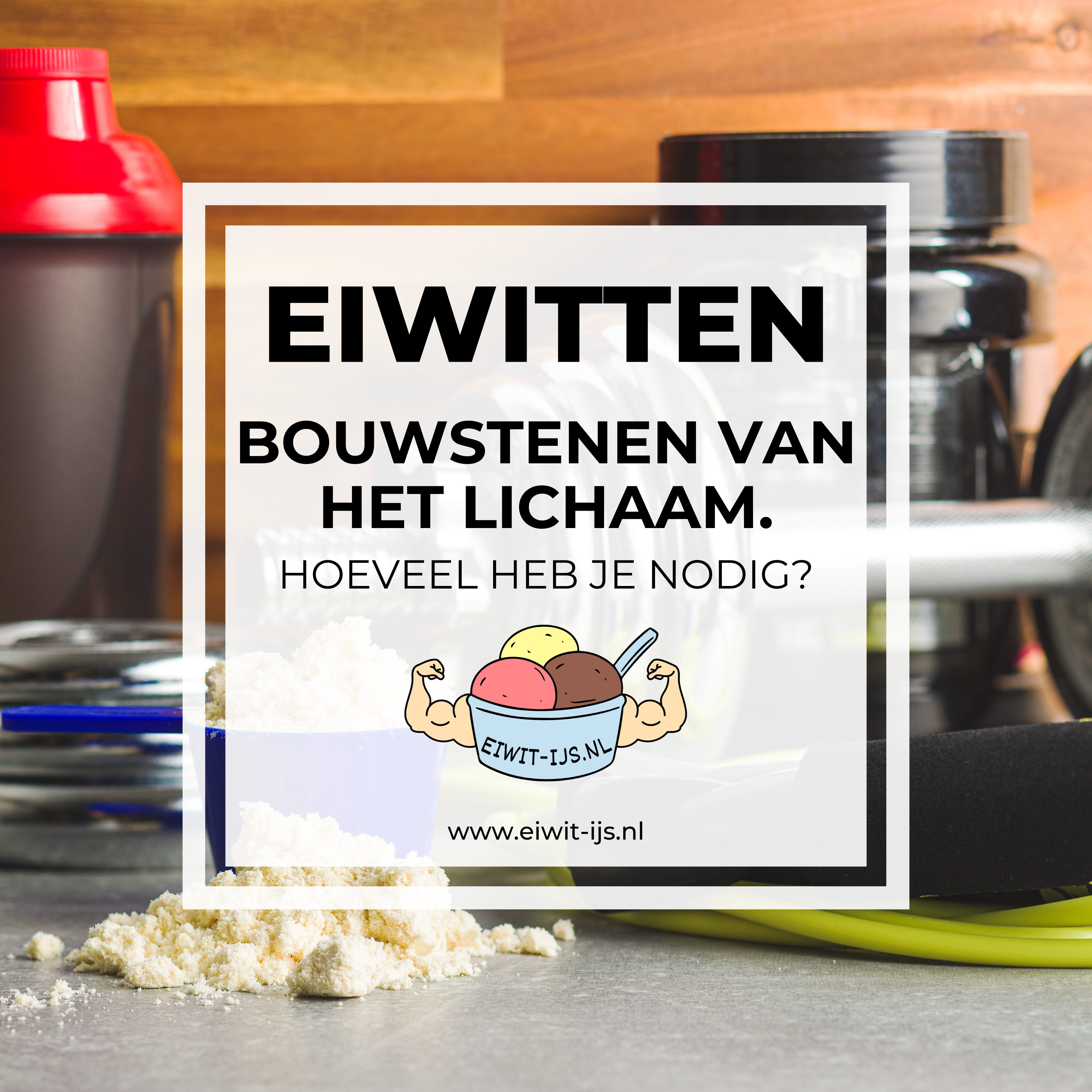 Eiwitten – Hoeveel heb je nodig?